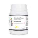 CURCUMINE MicroActive® (mikronisierte Kurkuma), (300 Kapseln) - Nahrungsergänzungsmittel