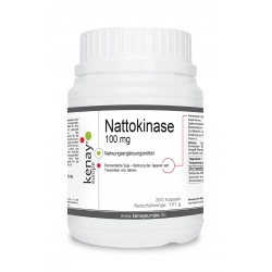 Nattokinase 100 mg (300 Kapseln) - Nahrungsergänzungsmittel 