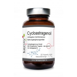 Cycloastragenol Astragalus membranaceus 60 Kapseln vege - Nahrungsergänzungsmittel