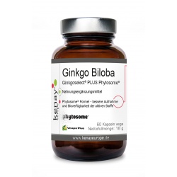 Ginkgo Biloba Ginkgoselect® PLUS Phytosome® 60 Kapseln vege