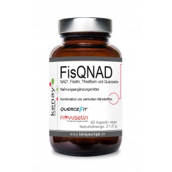 FisQNAD NAD+, Fisetin, Theaflavin und Querzetin 60 Kapseln vege