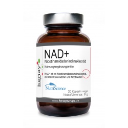 NAD+ Nicotinamidadenindinukleotid 60 Kapseln vege