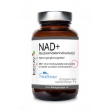 NAD+ Nicotinamidadenindinukleotid 60 Kapseln vege