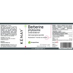 Berberine phytosome Berbevis® 60 Kapseln vege