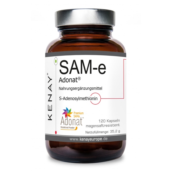 SAM-e S-Adenosyl-L-Methionine 120 Kapseln vege
