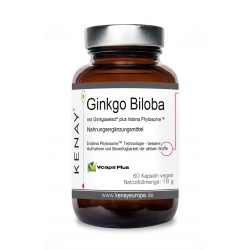 Ginkgo Biloba Ginkgoselect® PLUS Phytosome® 60 Kapseln vege