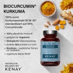 PREMIUM PRODUKT BCM-95® (CURCUGREEN®) Kurkuma-Extrakt 300 Kapseln vegan 