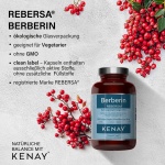 PREMIUM PRODUKT Berberin REBERSA® 60 Kapseln vegan