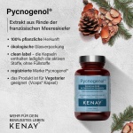 PREMIUM PRODUKT Pycnogenol ® Extrakt aus Rinde der französischen Merreskiefer (60 Kapseln) - Nahrungsergänzungsmittel