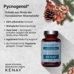 PREMIUM PRODUKT Pycnogenol ® Extrakt aus Rinde der französischen Merreskiefer (30 Kapseln) - Nahrungsergänzungsmittel