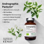 Andrographis ParActin® 60 Kapseln vege