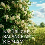 Quercetin Quercefit™ 60 Kapseln vege