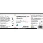 Liposomales Eisen LipoCellTech™