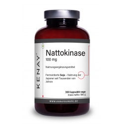 Nattokinase 100 mg 300 Kapseln