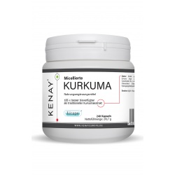 Micellierte Kurkuma 240 Kapseln Licaps 
