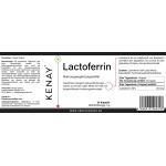 Lactoferrin 30 Kapseln